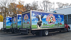 Delivery-Fleet of branded trucks